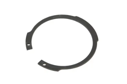 Slika D62 retaining ring 390386X1