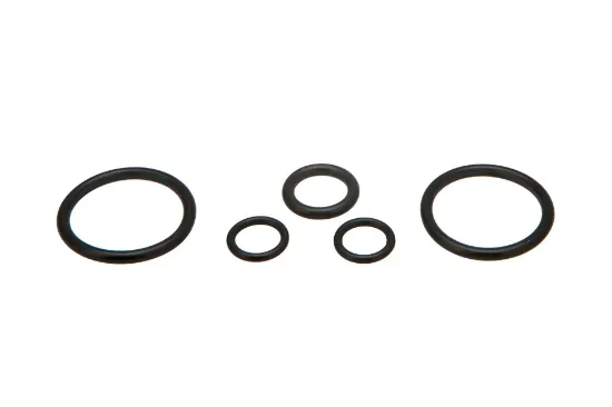 Slika O-ring kit 3906565M91