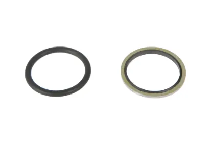 Slika Seal kit 3908552M91