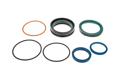 Slika Central link gasket set 3909561M91