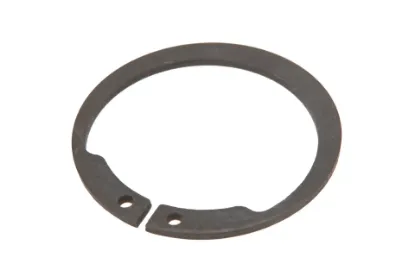 Slika Internal snap ring 391086X1