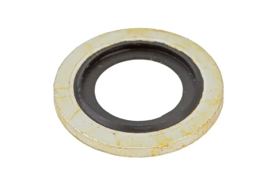 Slika Fuel line washer 4224749M1