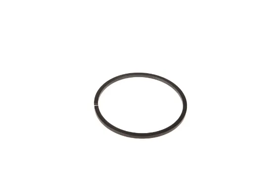 Slika Gearbox shaft sealing ring 4301527M1