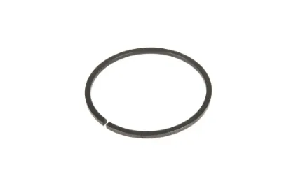 Slika Locking ring 4301528M1