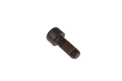 Slika Allen screw M8 x 20 4302671M1