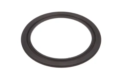 Slika Gearbox oil seal 4308946M1