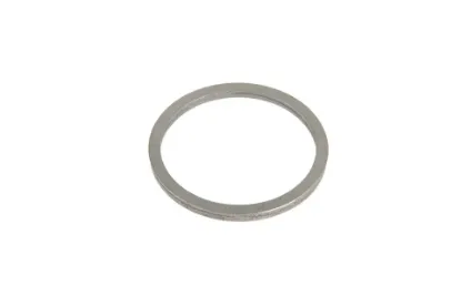 Slika Drive shaft washer 4311569M1