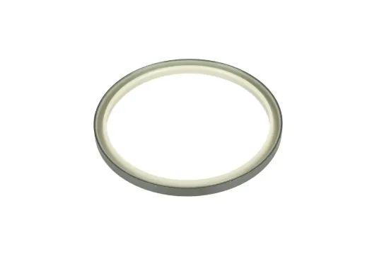 Slika AGCO 4377506M1 Power steering cylinder seal ring