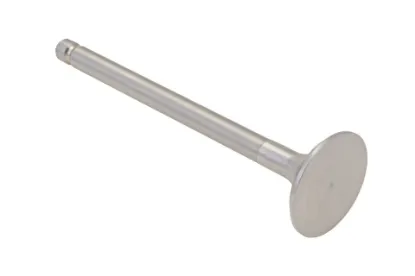 Slika Exhaust valve 4L22-03004