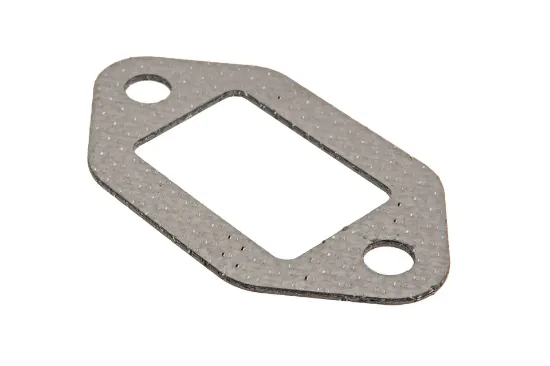 Slika Exhaust manifold gasket 4L22-03006