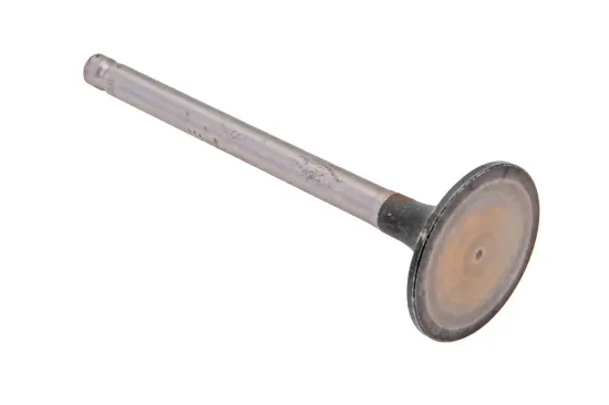 Slika Intake valve 4L22BZ-03005