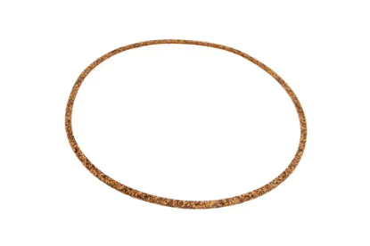 Slika Gasket 516389M2