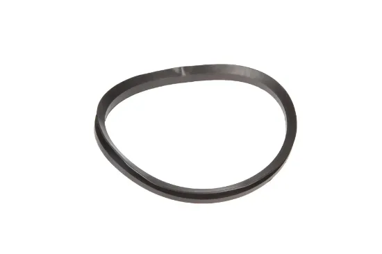 Slika Seal ring 6000103316