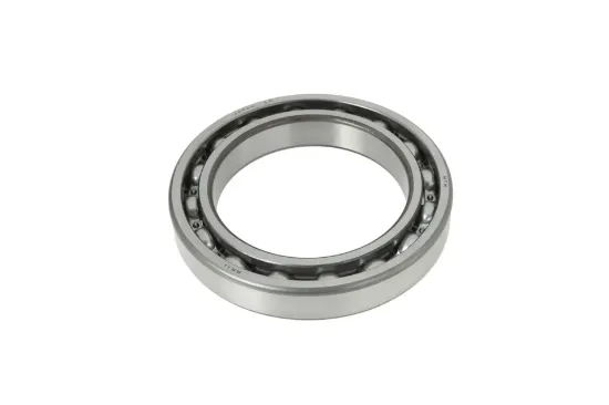 Slika Torque converter bearing 6005019395