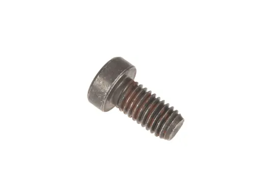 Slika Allen screw M8 x 1.25 6005023458