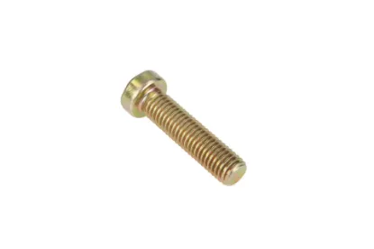 Slika Gear housing bolt M10 x 1.5 cl.10.9 6005023463