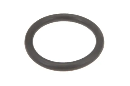 Slika O-ring for guide mounting 6005029898