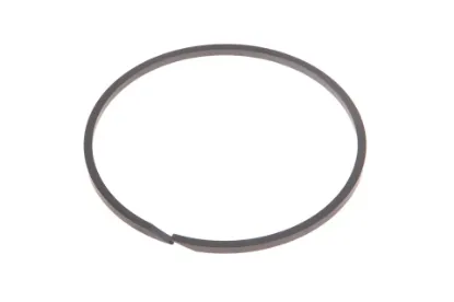 Slika Piston ring 6005030337