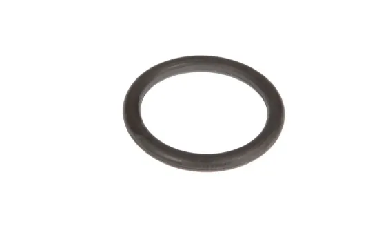 Slika O-ring 18,72 x 2,62 6005030694