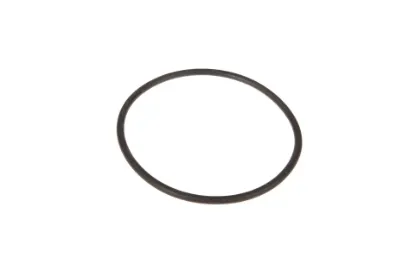 Slika O-ring 70923584