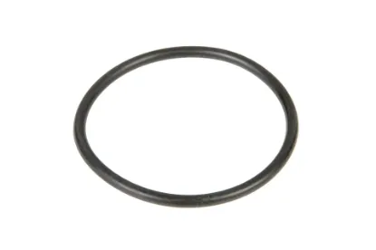 Slika O-ring 5/32" x 1-11/16" 70923865
