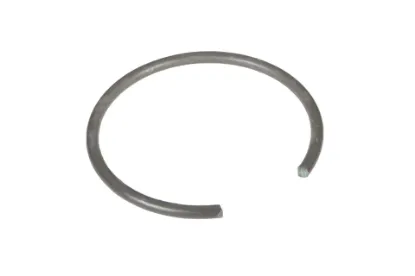 Slika Snap ring, expansion type 72162361