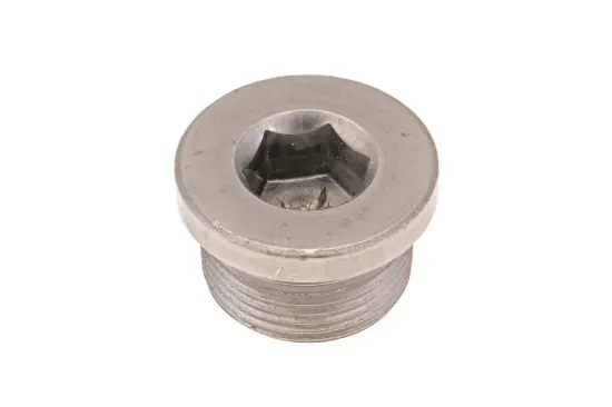 Slika Final drive drain plug M24 x 1,5 72506038