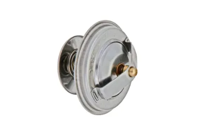 Slika Thermostat 74706065