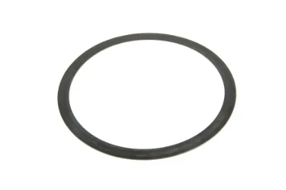 Slika Clutch basket washer 7700021123