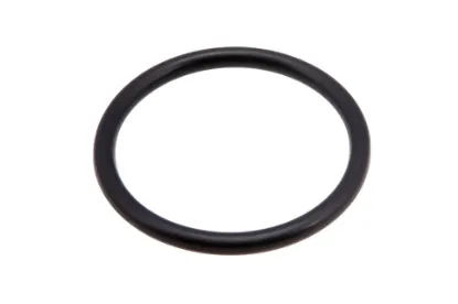 Slika O-ring 7700026383