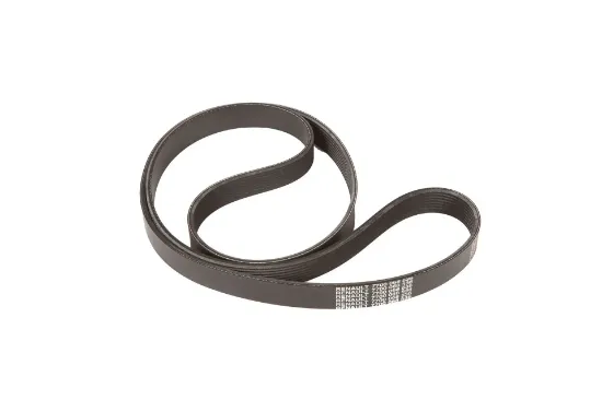 Slika V-belt multi-ribbed 8 PK x 1610 lp 7700068536