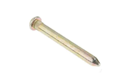Slika Rear window hinge pin 816810050101