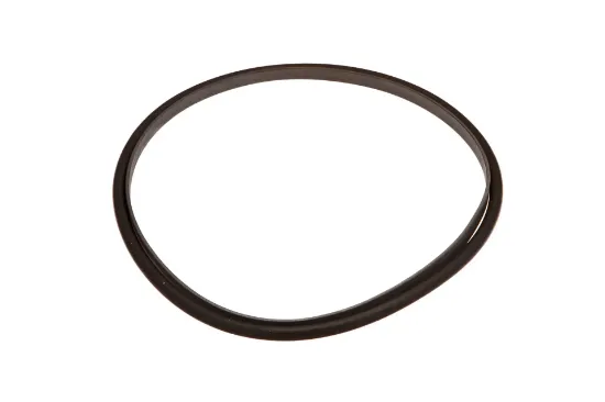 Slika Differential sealing ring 931303190210