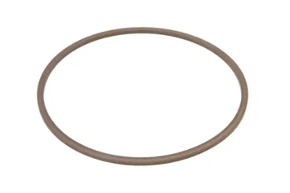 Slika Basket sealing ring 115 x 3 A158051