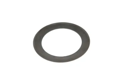 Slika Carraro steering knuckle spring washer CI128629