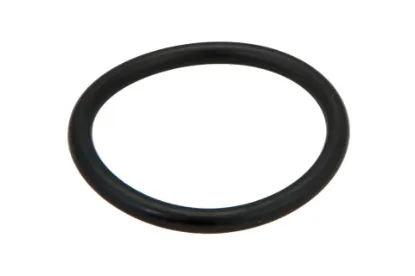 Slika EGR module o-ring F002200510060