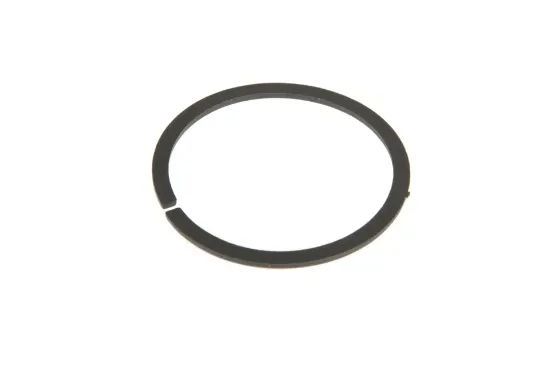 Slika Injection pump spacer ring F119200710180