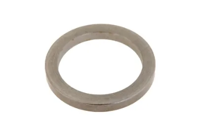 Slika Injector retaining washer 2,9 x 20 mm F119200710370