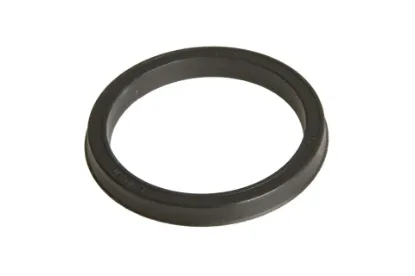 Slika AGCO foot brake cuff ring F158100150080