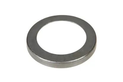 Slika F184300020350 axle shaft ring