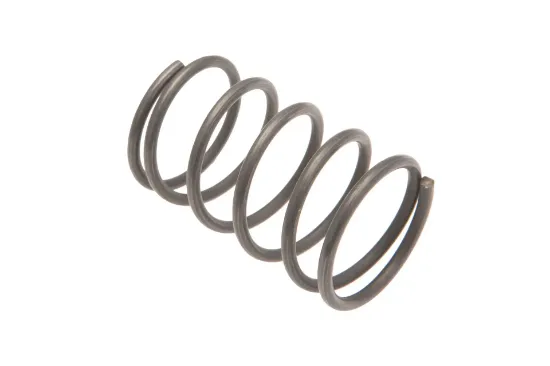 Slika Hydraulic brake system spring F198104070090