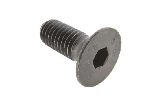 Slika Screw M8 x 20 F339300021020