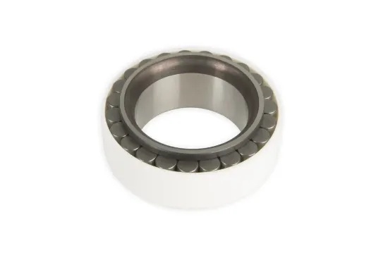 Slika Cylindrical roller bearing 2-row 36 x 54,3 x 22 mm F380306020220