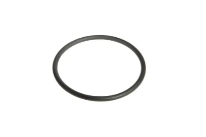 Slika Shaft O-ring F514100360710