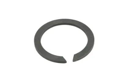 Slika Satellite bearing retaining ring F514300020420