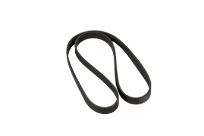 Slika Engine accessory drive V-belt F716200040020