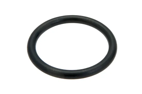 Slika O-ring 20 x 2,5 F716201510080