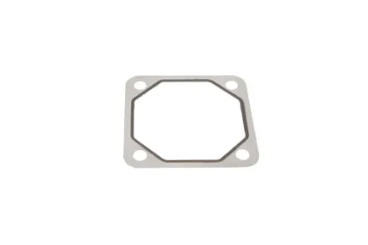 Slika Intake system gasket F718202180020
