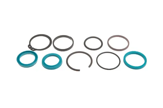 Slika Complete set of sealing rings for the steering cylinder F725891492060