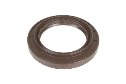 Slika Oil seal 60 x 90 x 10/14,5 F743300021410